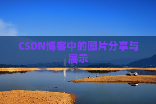 CSDN博客中的图片分享与展示